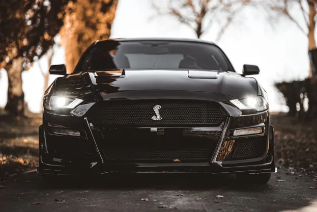 Pure Casino Aip Android/iOS